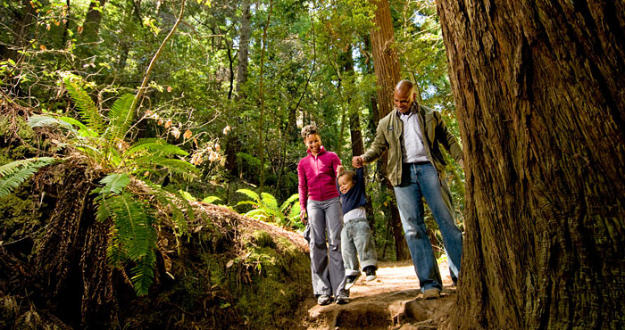 two smiling adults help young child over a redwood root in the forest