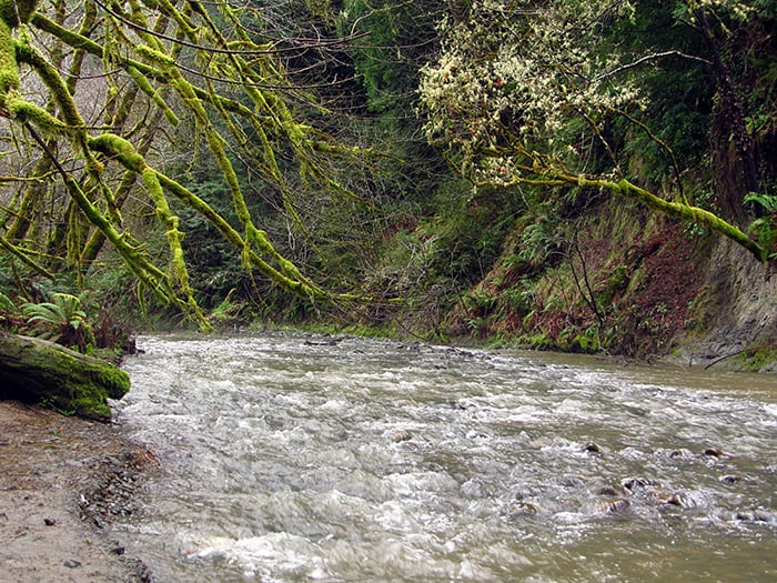The Elk River runs through Westfall Ranch. Photo by David LaFever