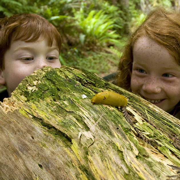 Two little red-haired children, a boy and a girl, grin as they peek at a yellow banana slug atop a log