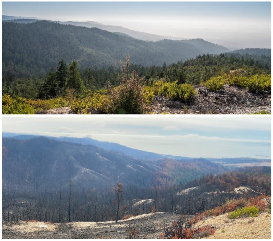 Views of Cascade Creek before the CZU Lightning Complex fires (top) and after the fires (bottom).