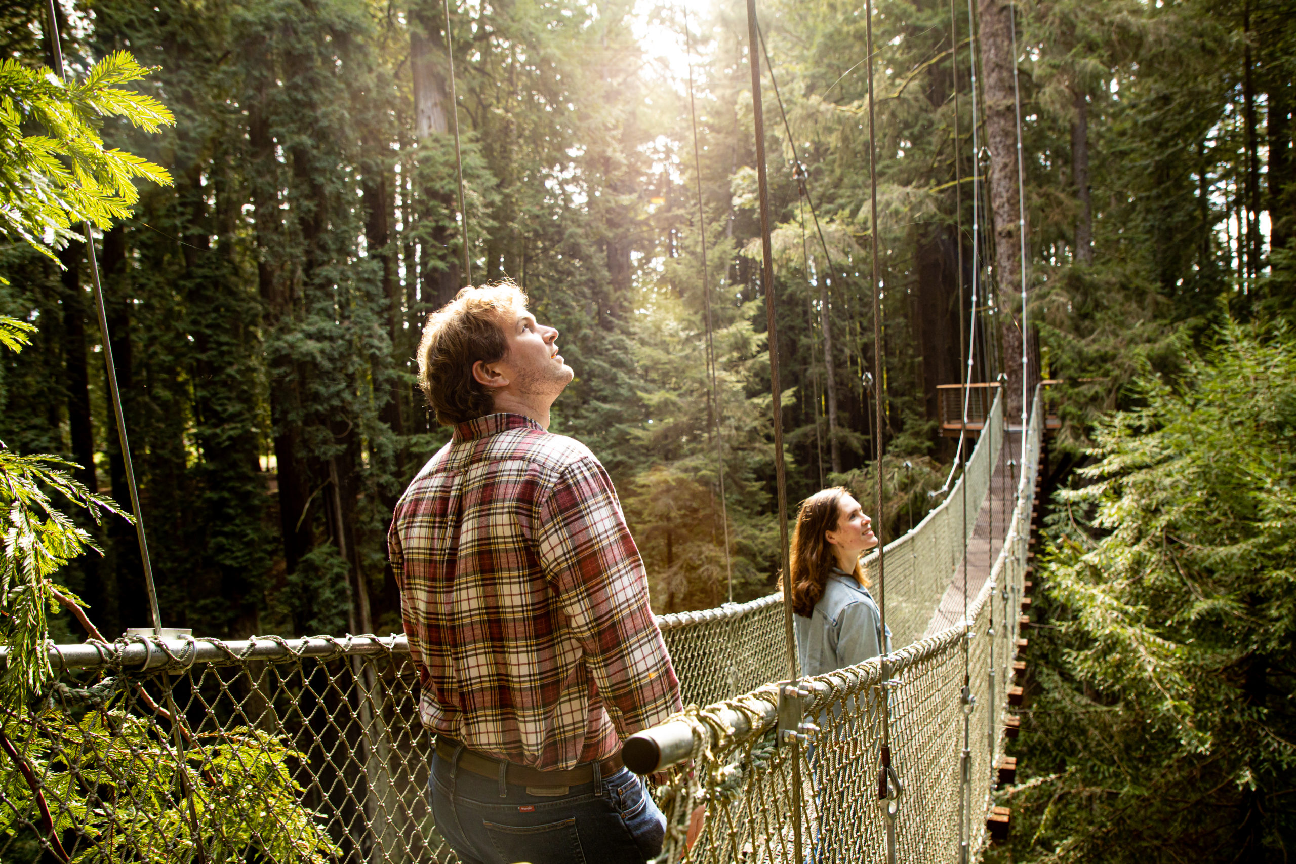 a man and a woman look to the right as they stand on a wire suspension bridge in the tree canopy, with afternoon sun shining through the leaves