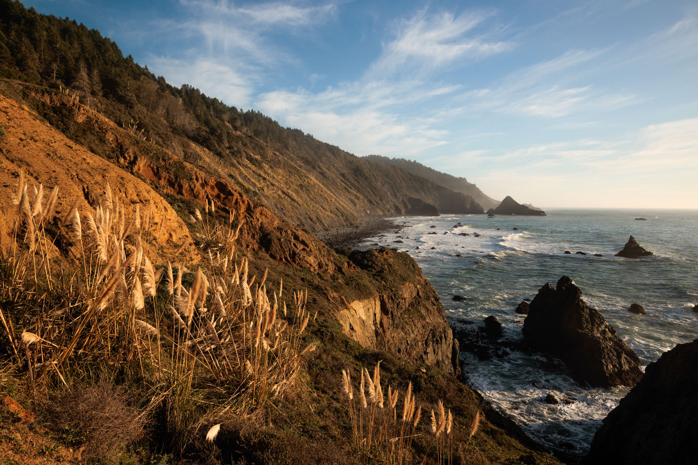 Coastline landscape