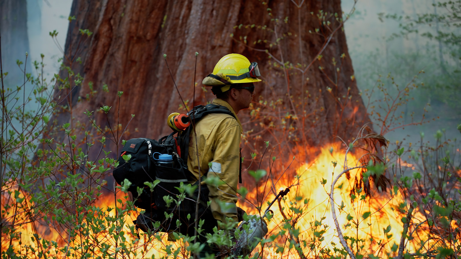 Crew at prescribed burning