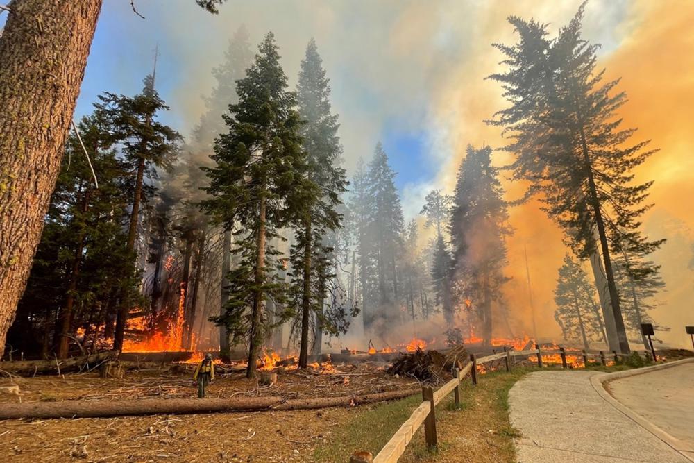 washburn fire