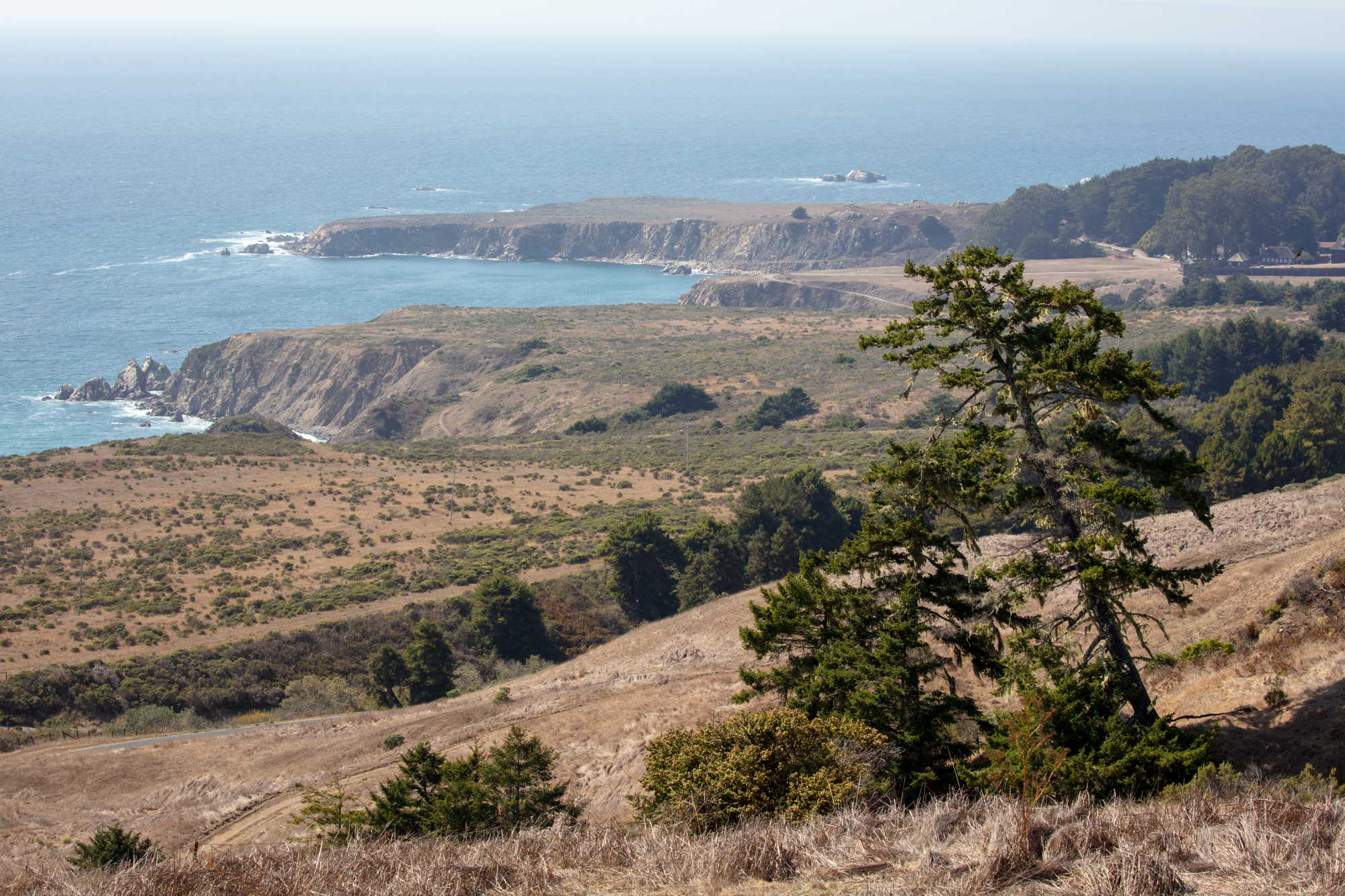 Rugged Sonoma coastline