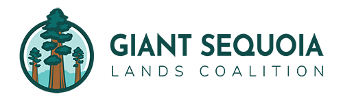 Giant Sequoia Lands Coalition Giant Sequoia Lands Coalition logo