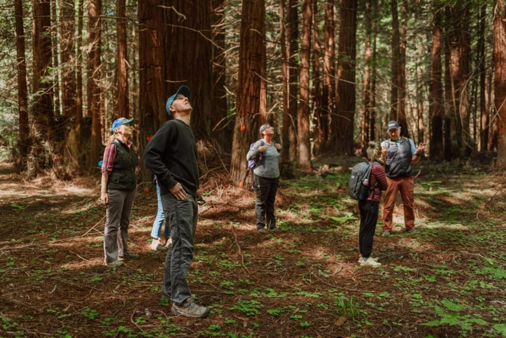 A river runs to it - Save the Redwoods League