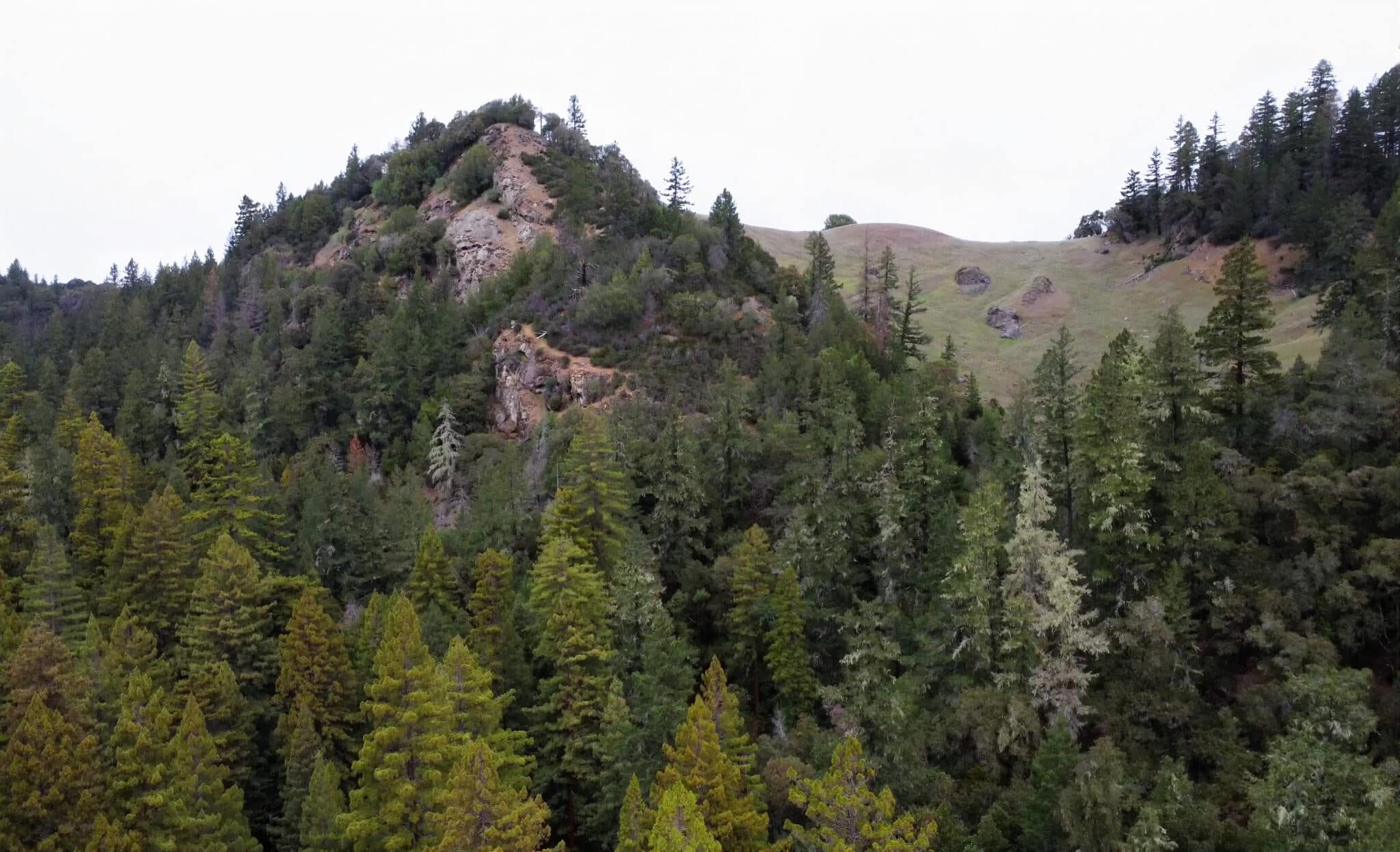 A large rock outcropping overlooks a forest of mature redwood trees