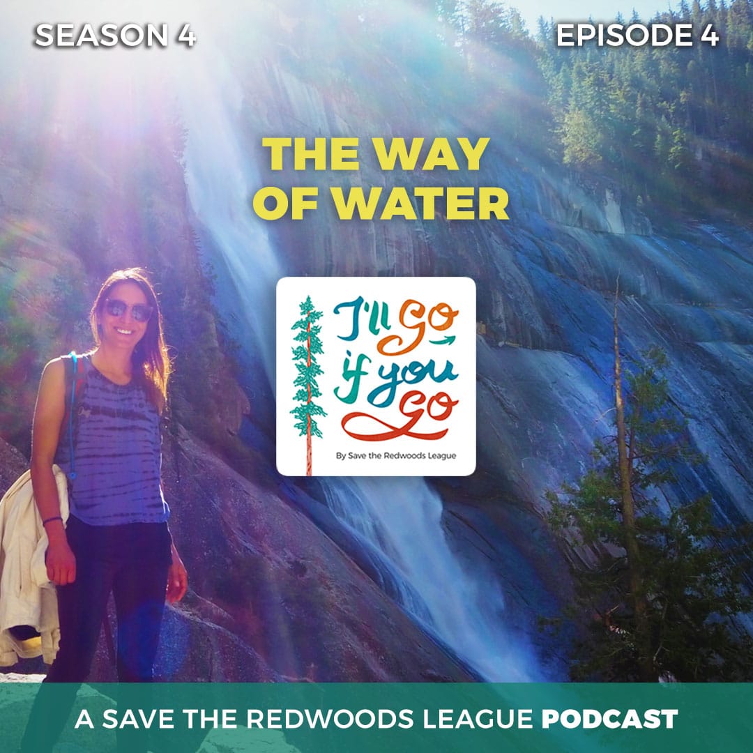 Cover art for Season 4, Episode 4 - "The way of water" depicts a Chilean woman standing by a waterfall in Yosemite National Park