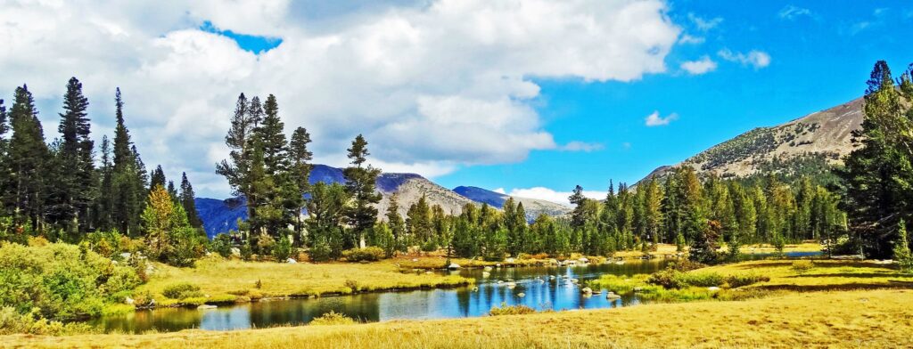 A small river twists through an alpine meadow