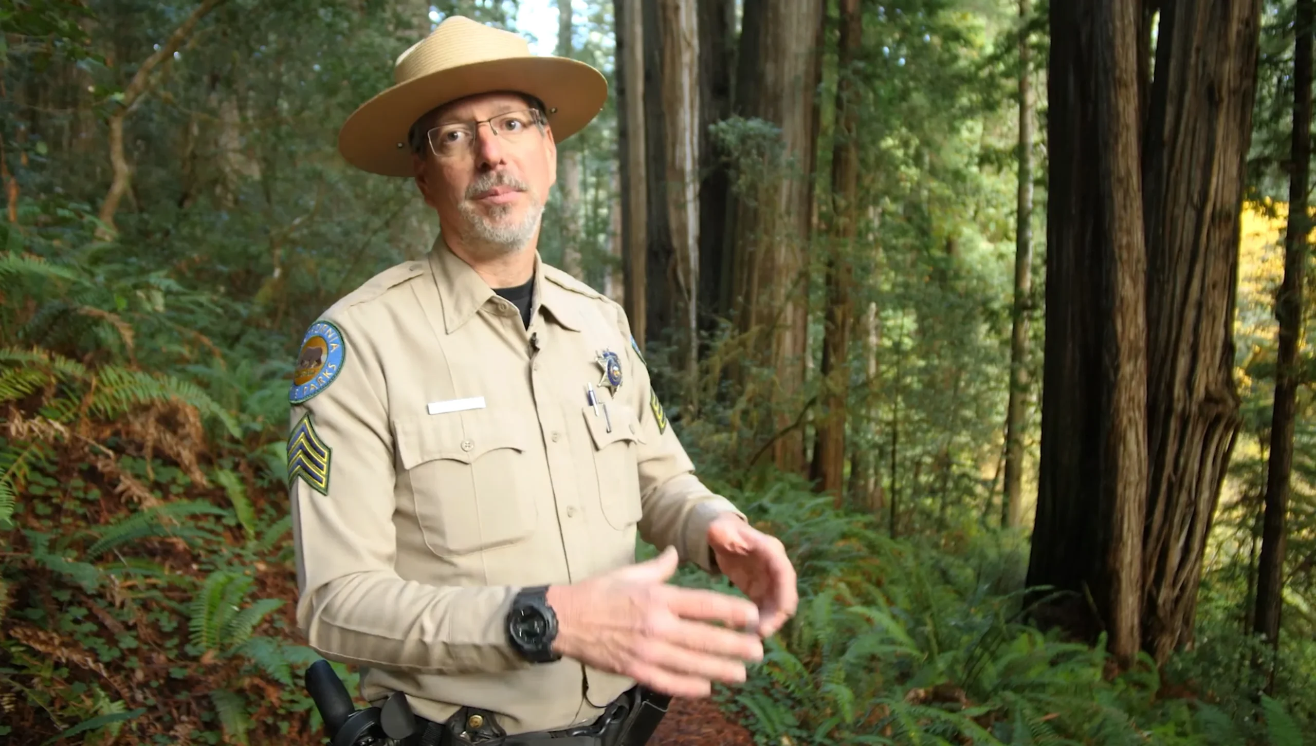 California state parks ranger