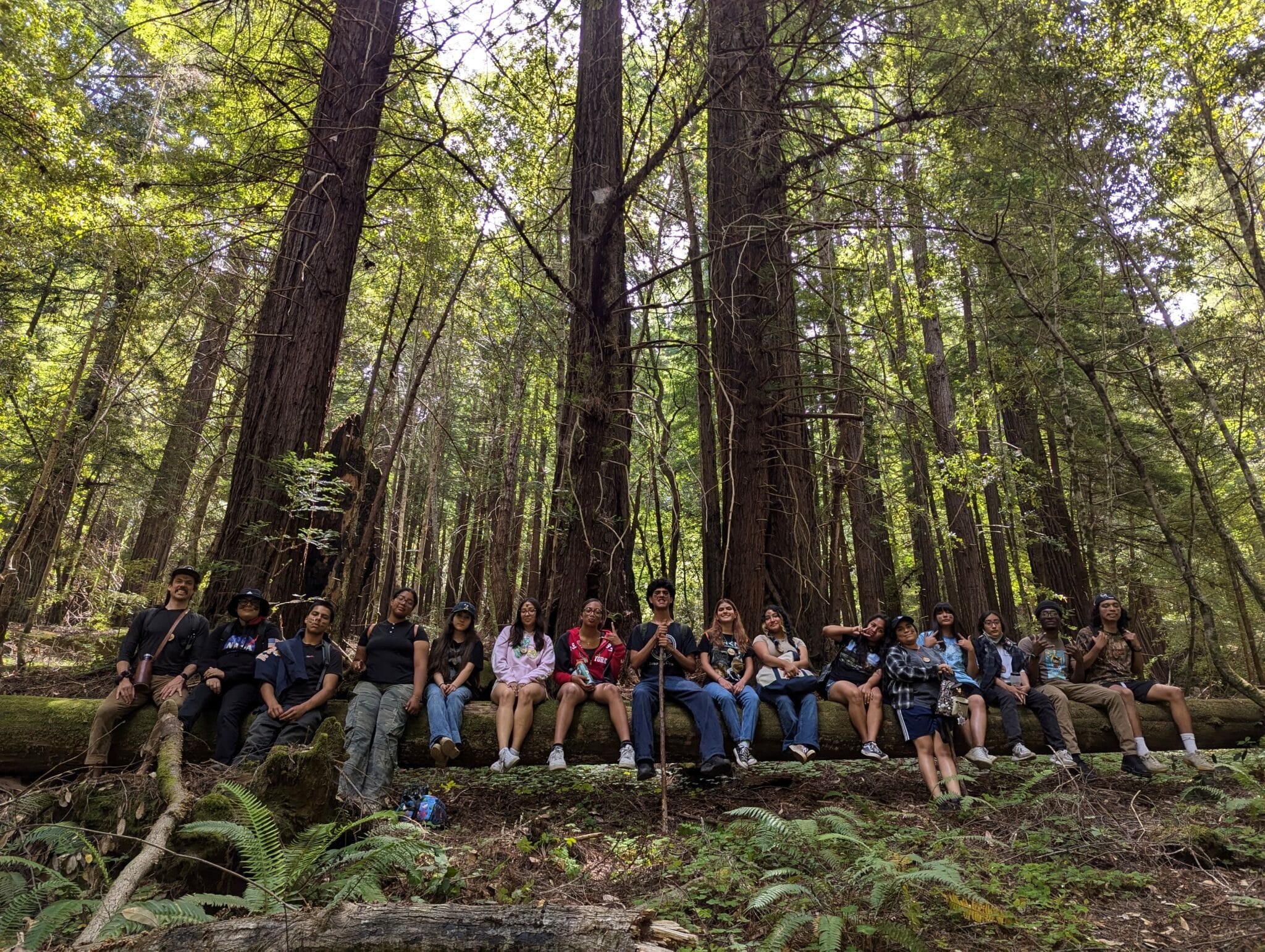 a big group of kids in a redwoods forest