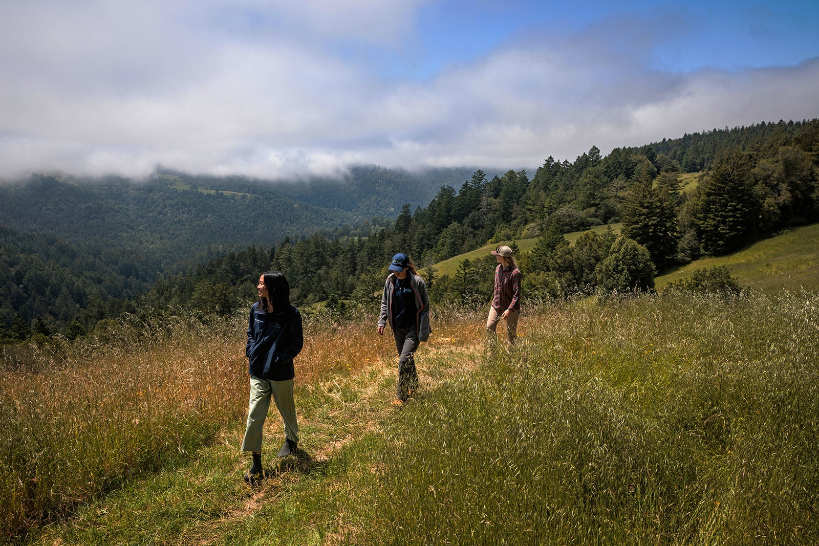 Three hikers walk along a narrow trail through a grassy hillside, surrounded by rolling green hills and dense redwood forests.