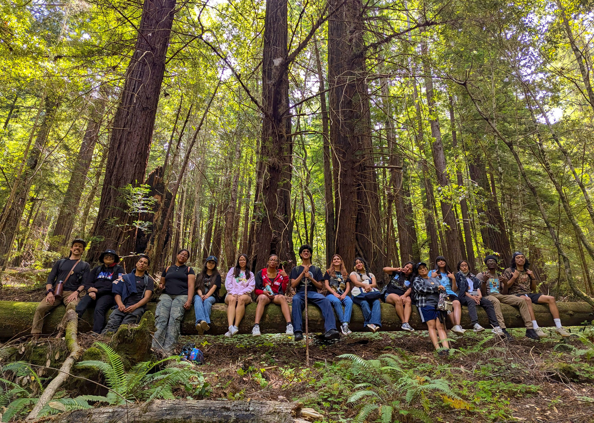 a big group of kids in a redwoods forest