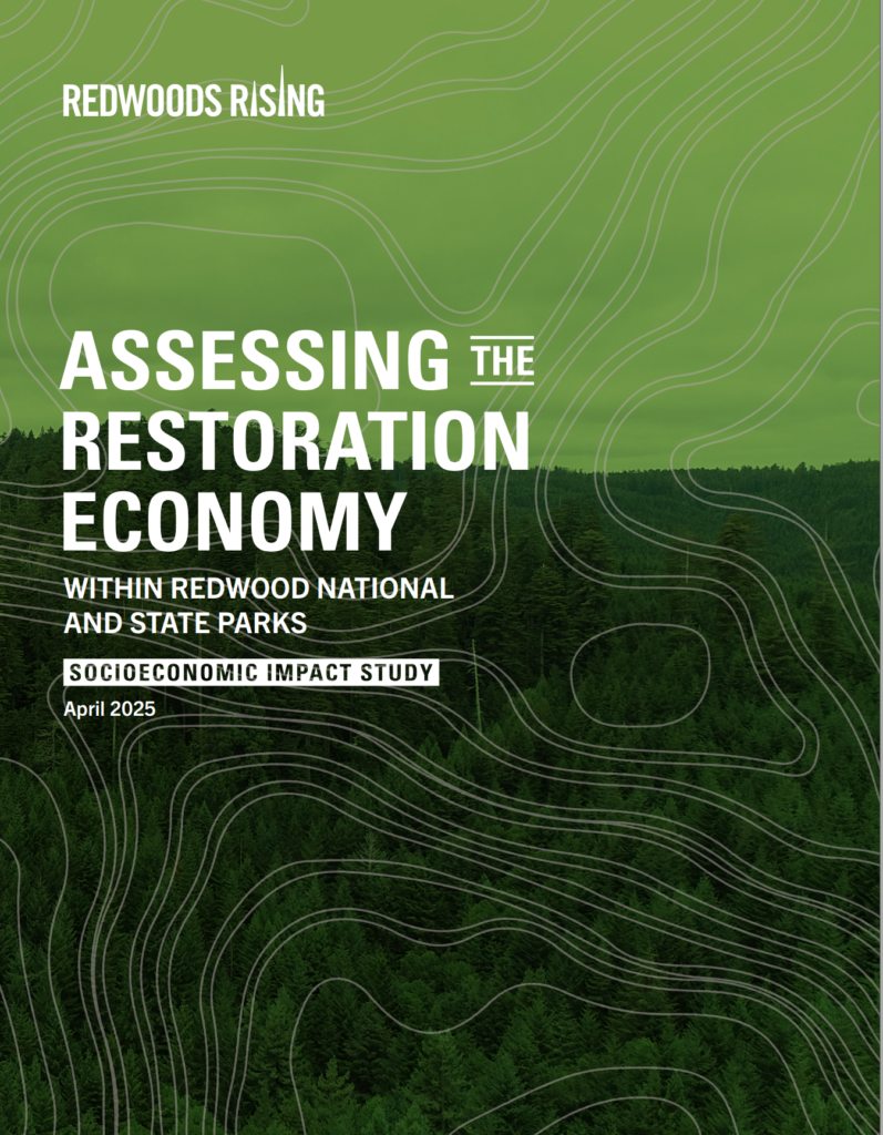 report cover