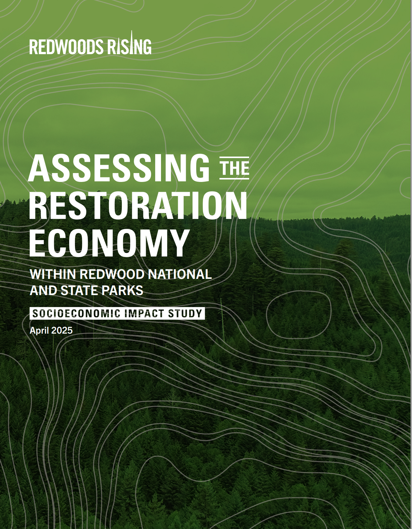 report cover