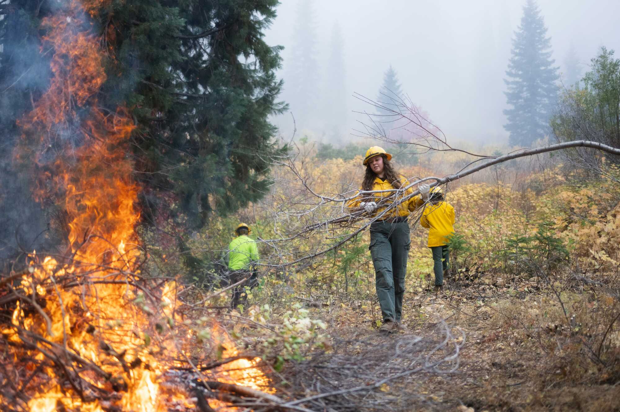 A woman wearing a hard hat carries a tree branch. To the left, bushes burn.