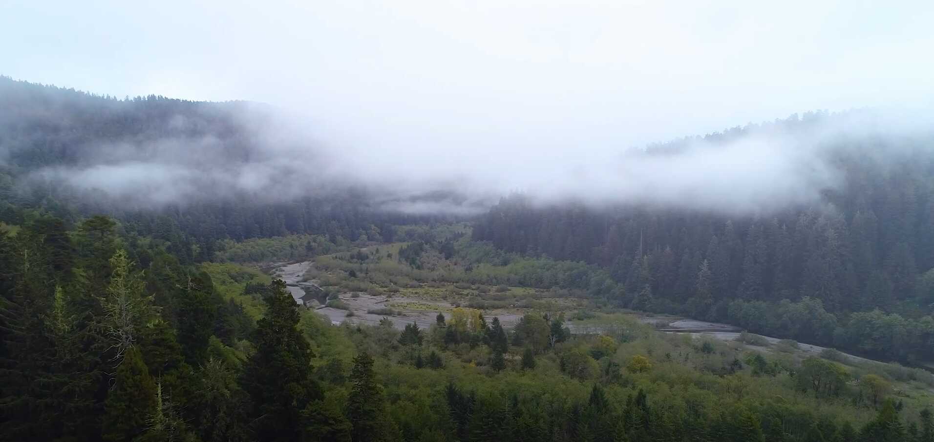 landscape shot partially covered in mist of a coastal valley surrounded by forested hills