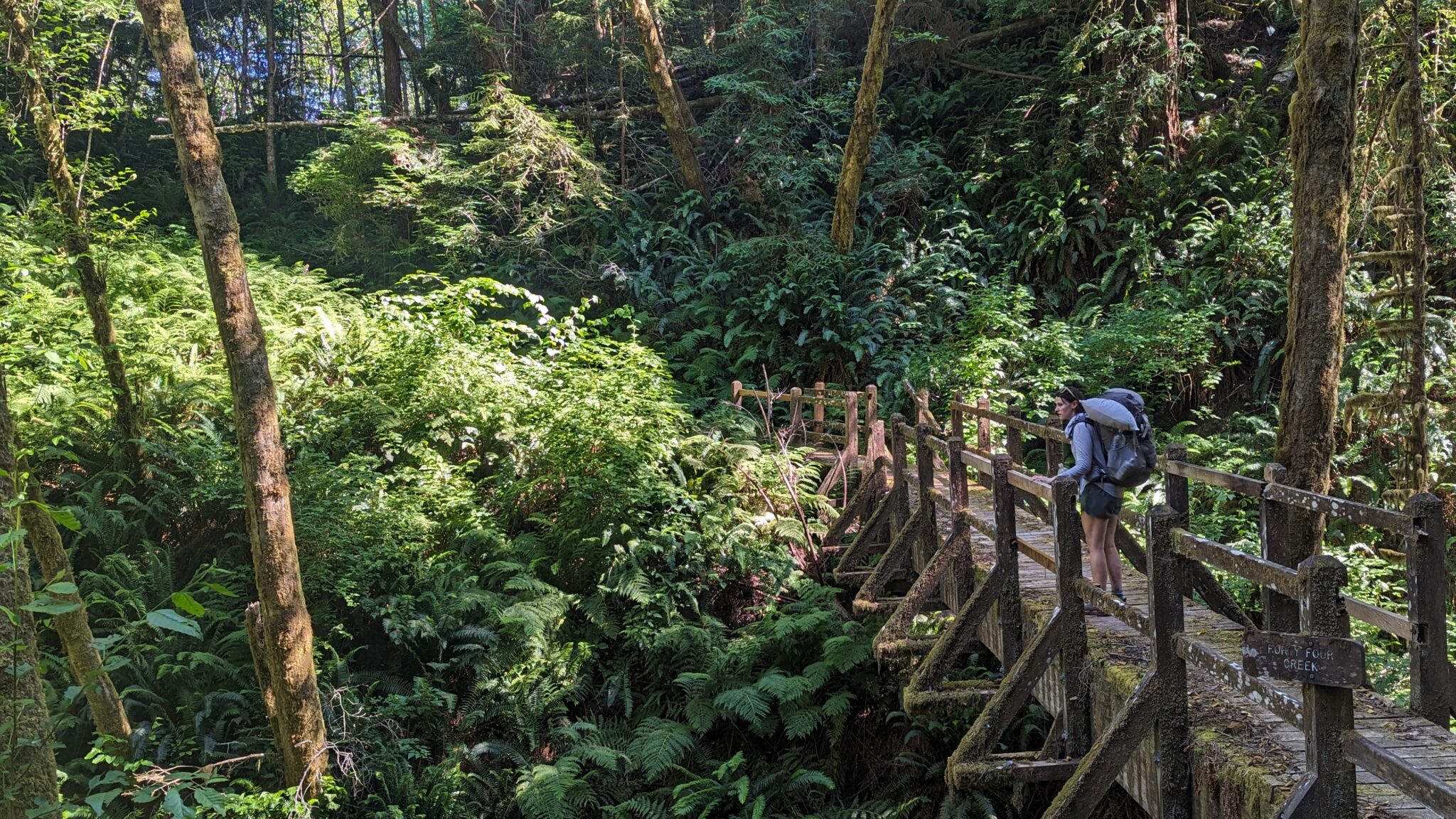 A woman peers over a bridge in a forested area