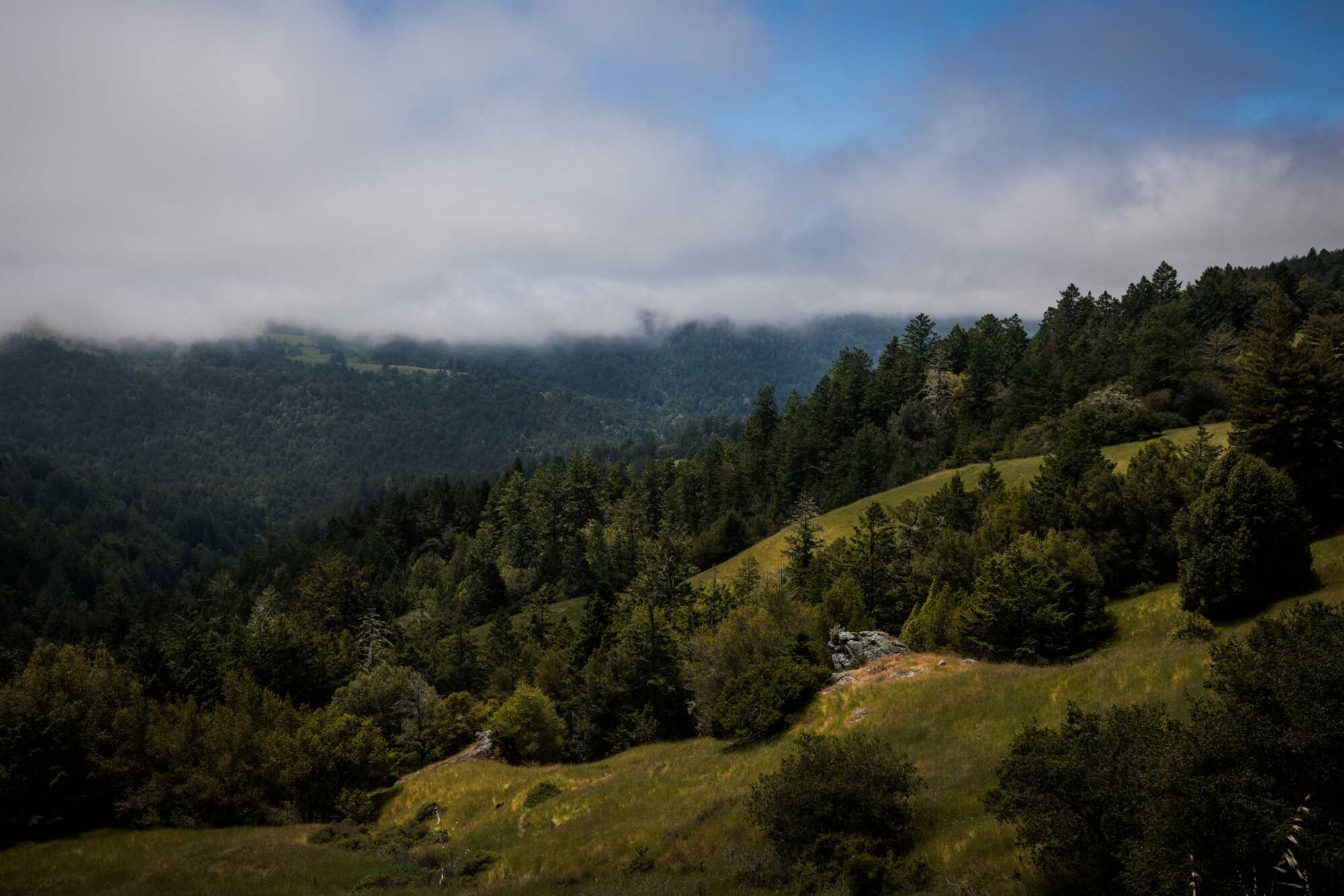 Green hills with gray clouds