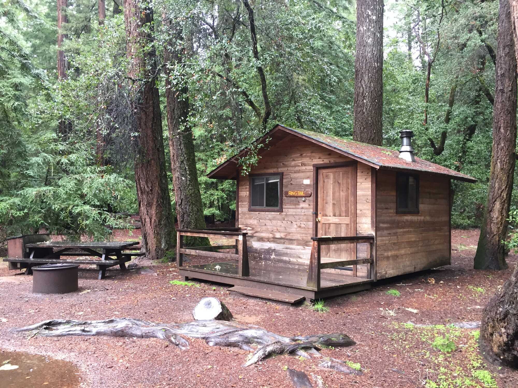 A log cabin next to a picnic table in a forested area