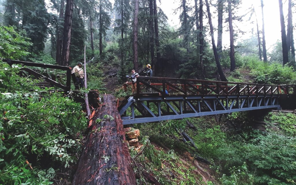 Bridge crushed by redwood tree.