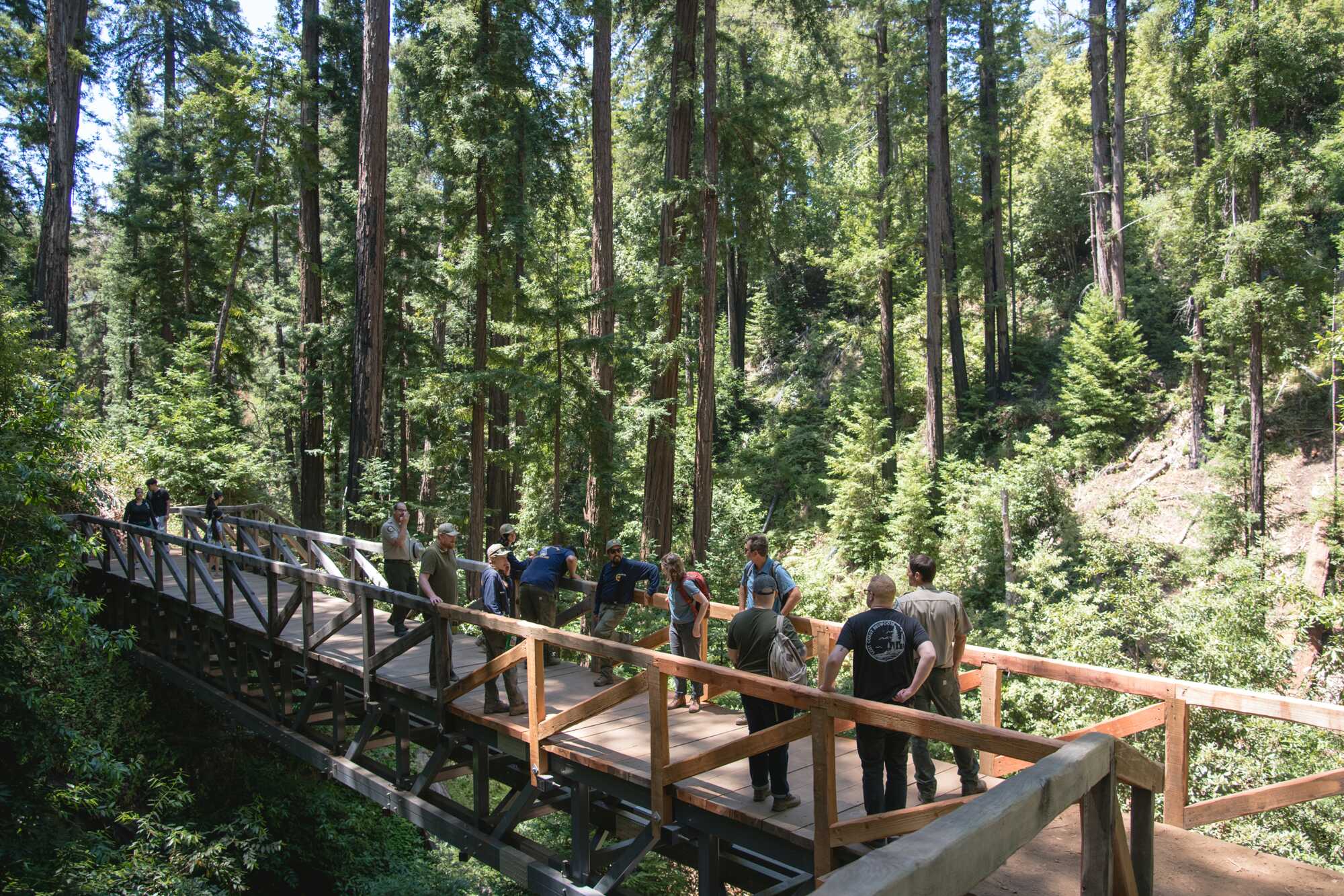 14 people standing on the finished bridge