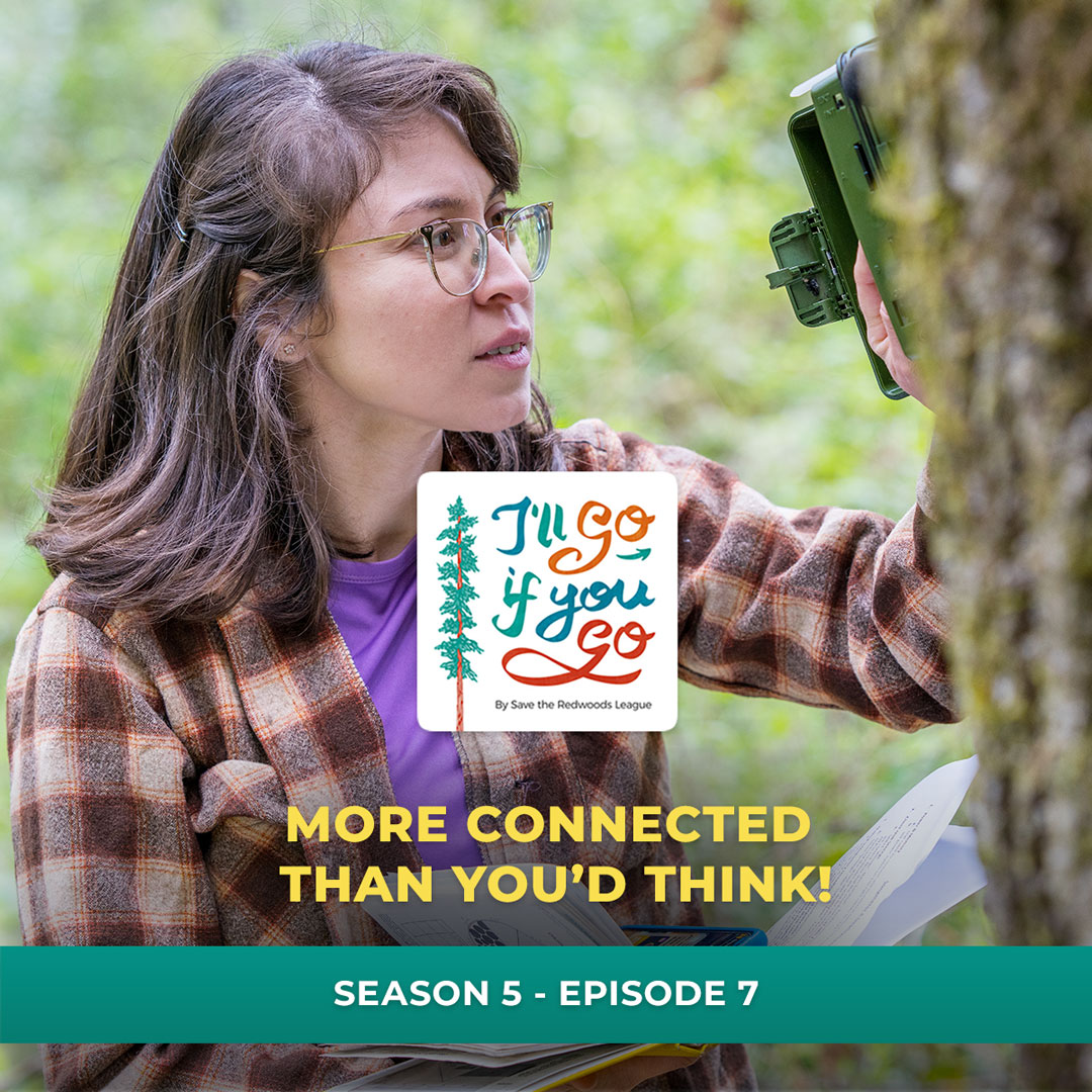 I'll Go If You Go podcast, season 5, episode 7 episode cover art