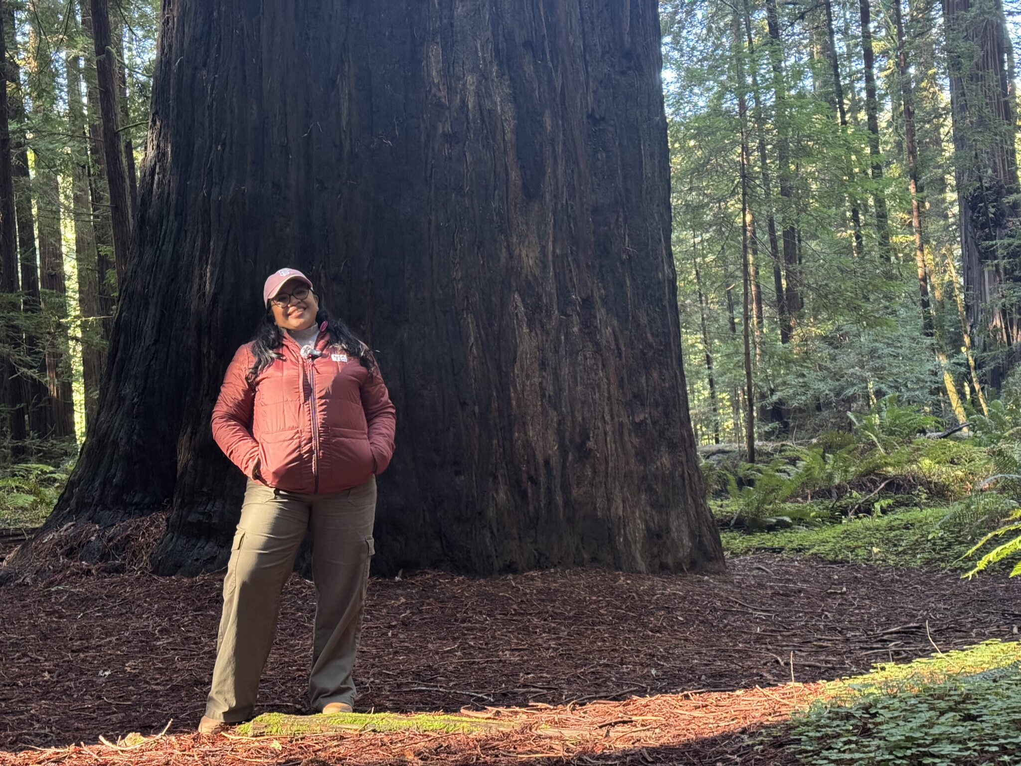 Podcast host outside of her favorite redwood tree
