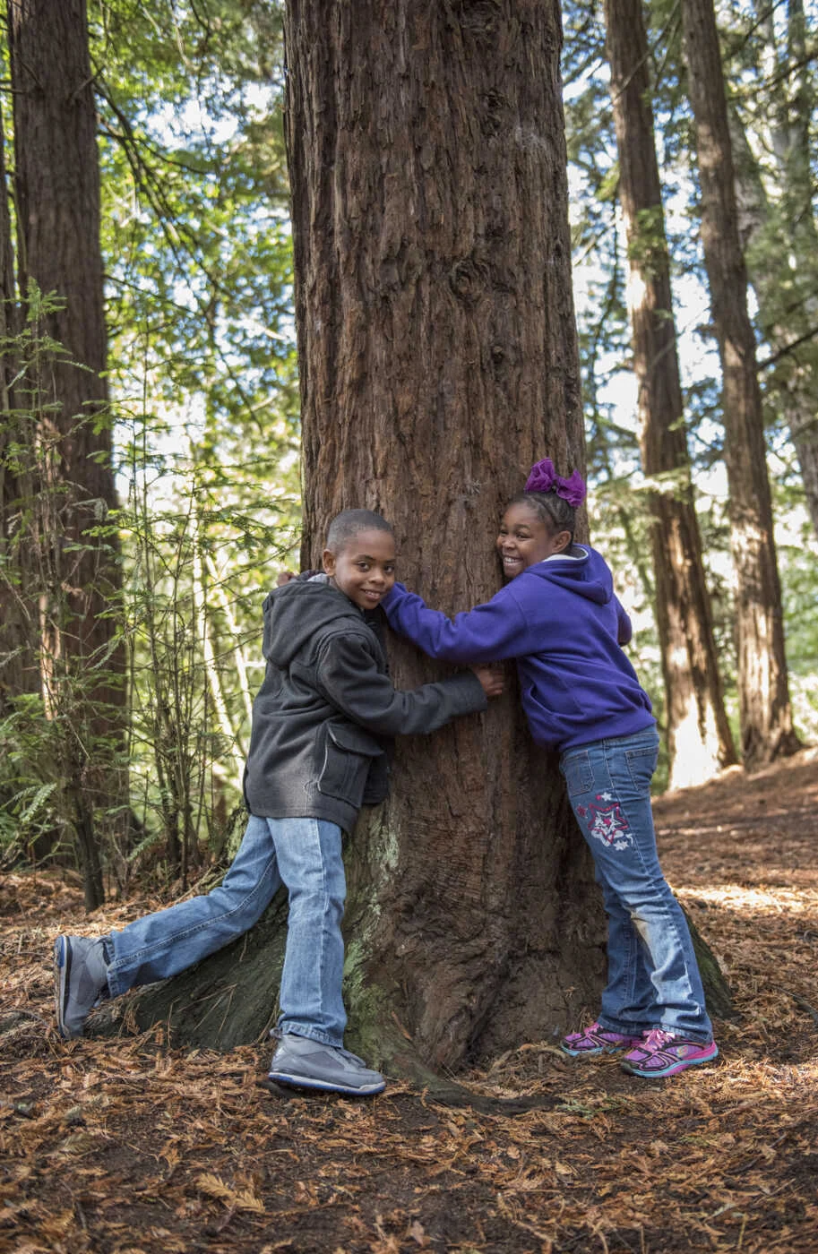 students hugging redwood tree
