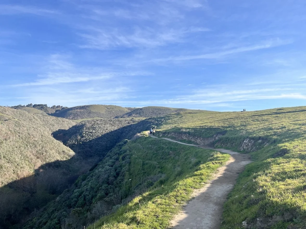 A wide trail leading up a bright green coastal plateau.
