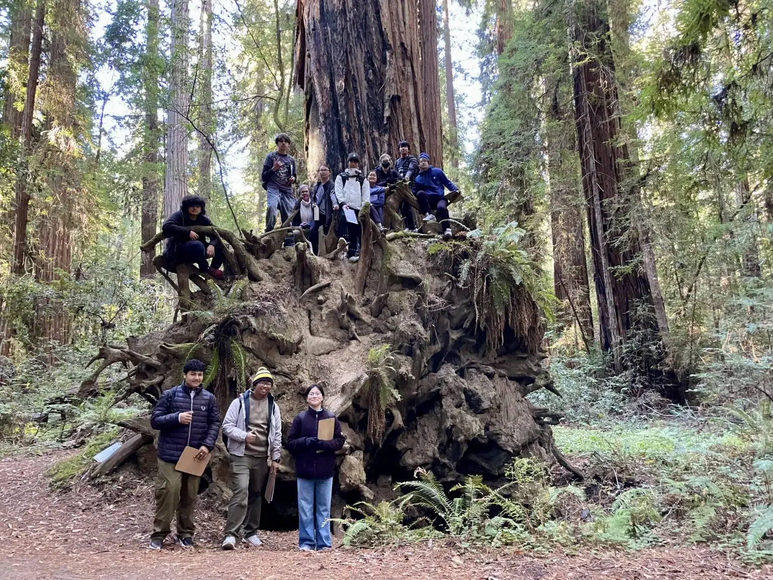 A group of kids faces the camera at the base of a massive fallen redwood.