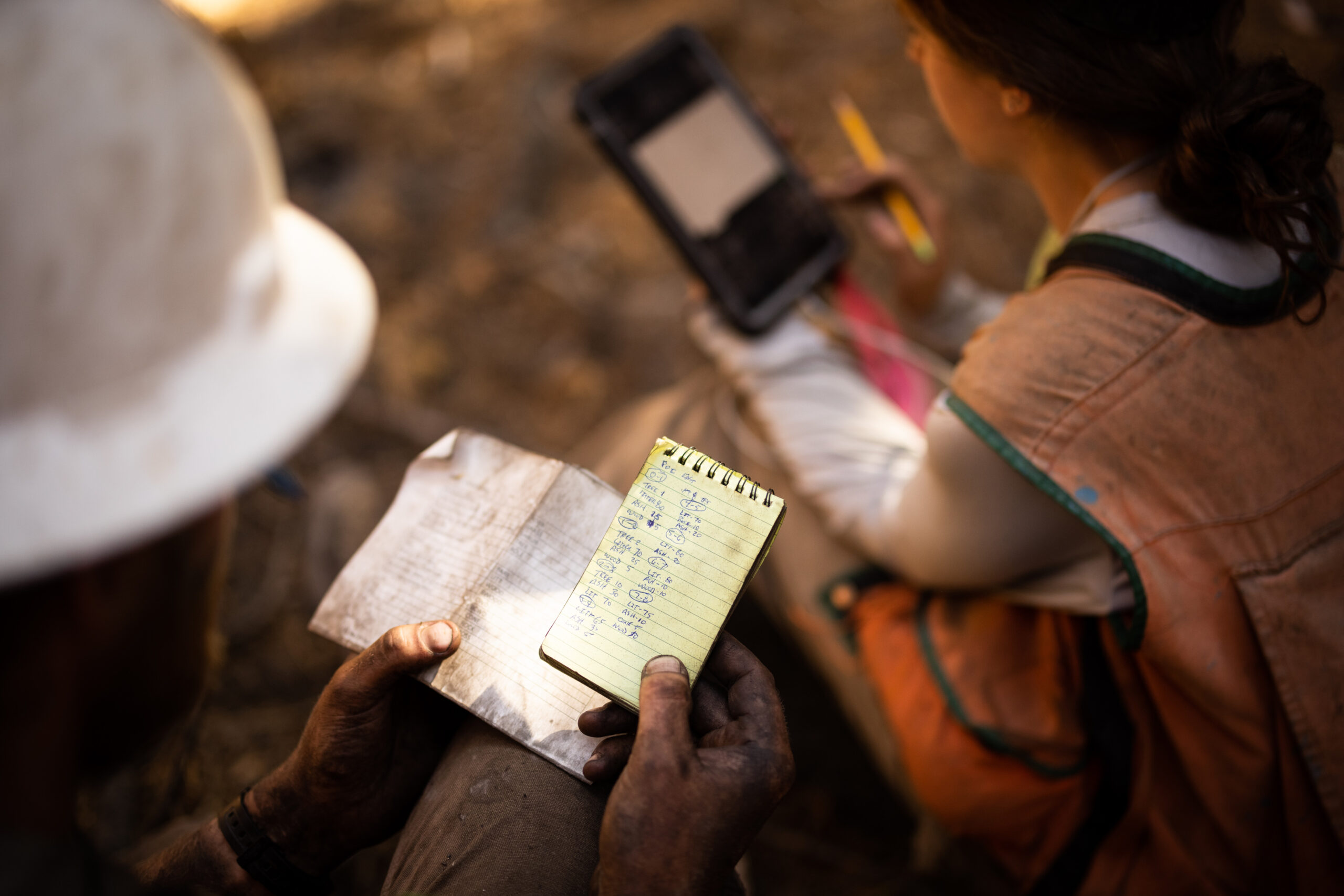 The Forest Resources Solutions and Technologies team collects data on the post-fire landscape in the Alder Creek Grove in Sequoia Crest, California on July 15, 2021.
