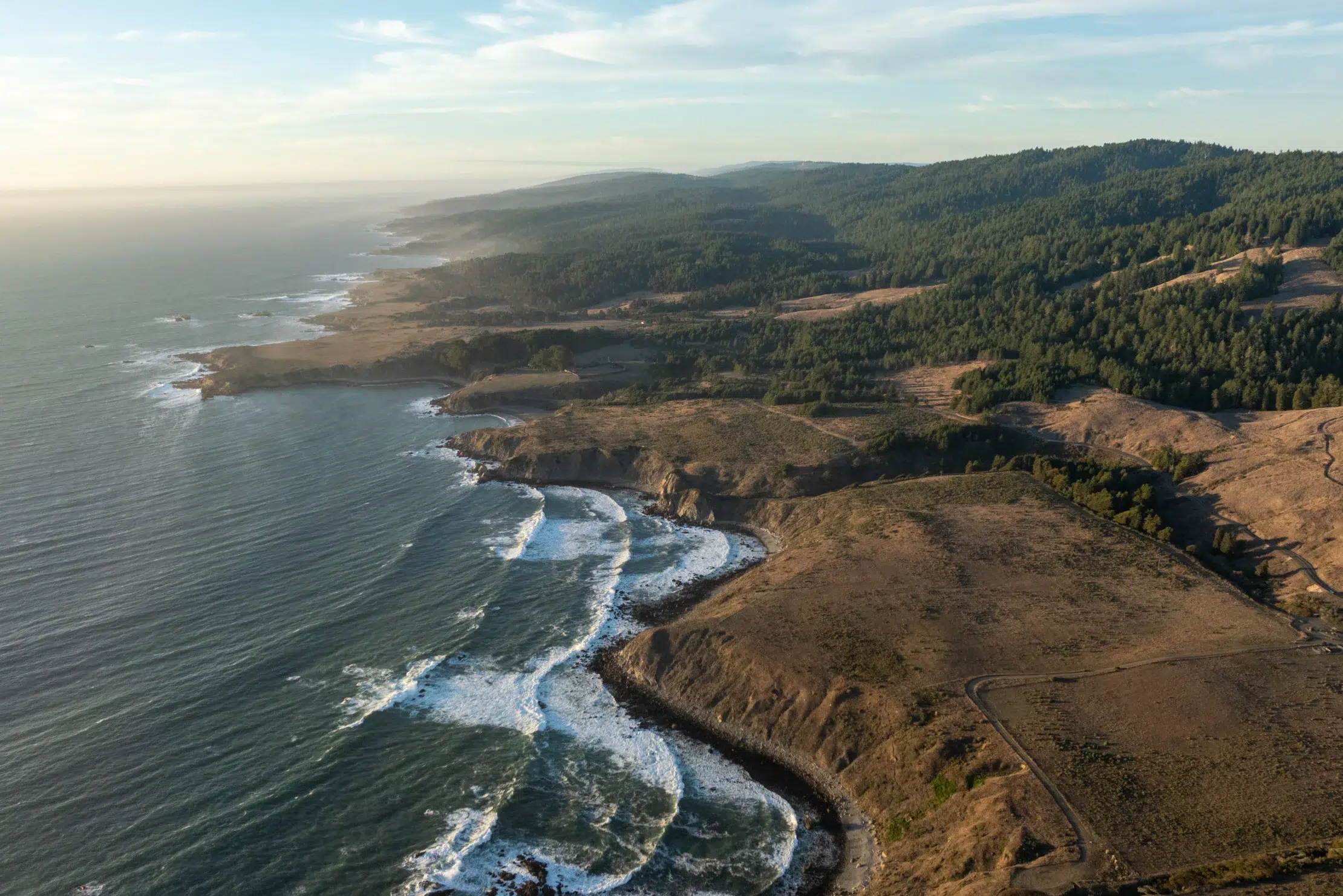 Sonoma Coast looking out over the Pacific Ocean with a forest of redwoods in the background