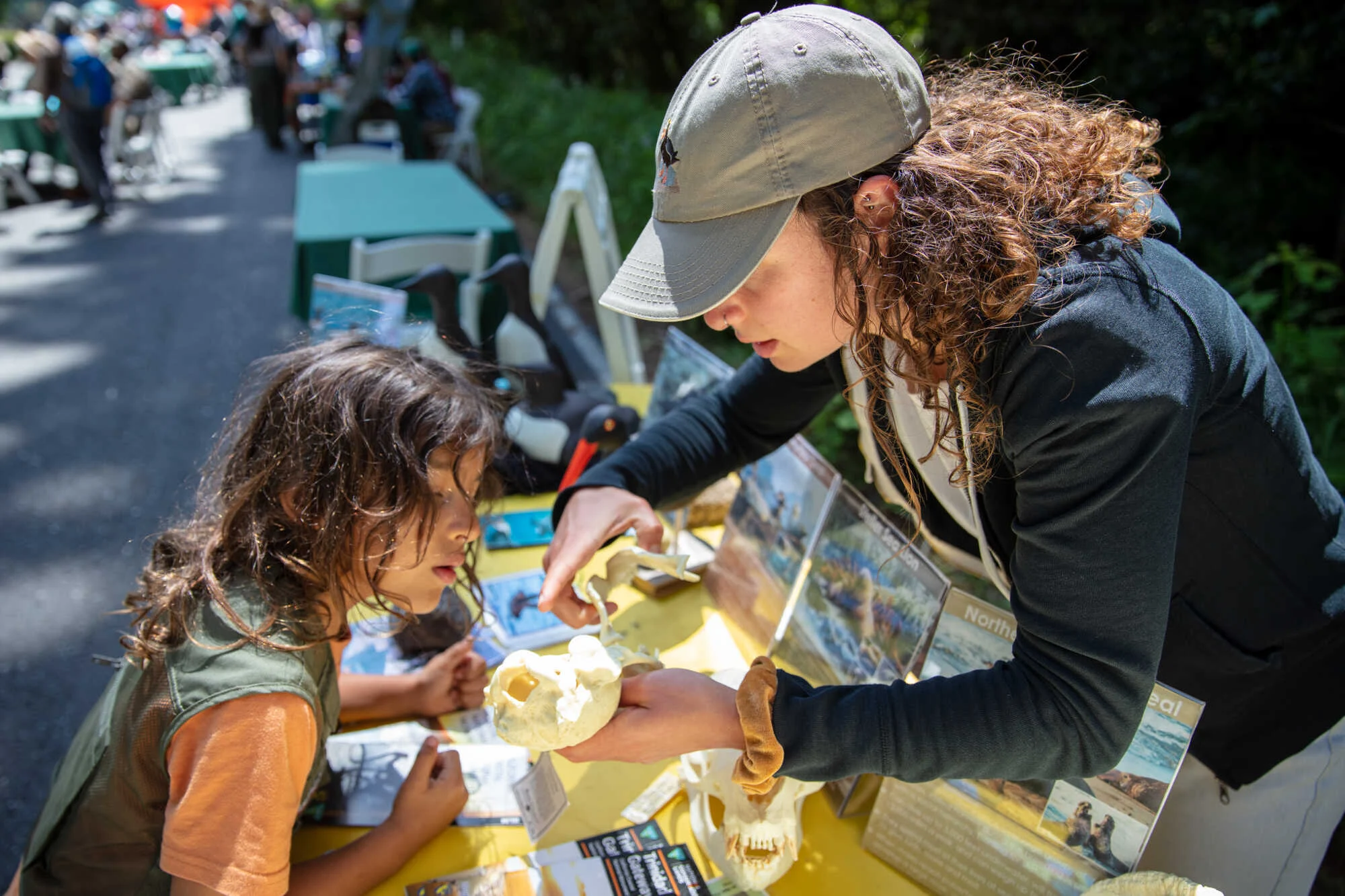 A child is shown an animal skull at an activity table during California State Parks Week