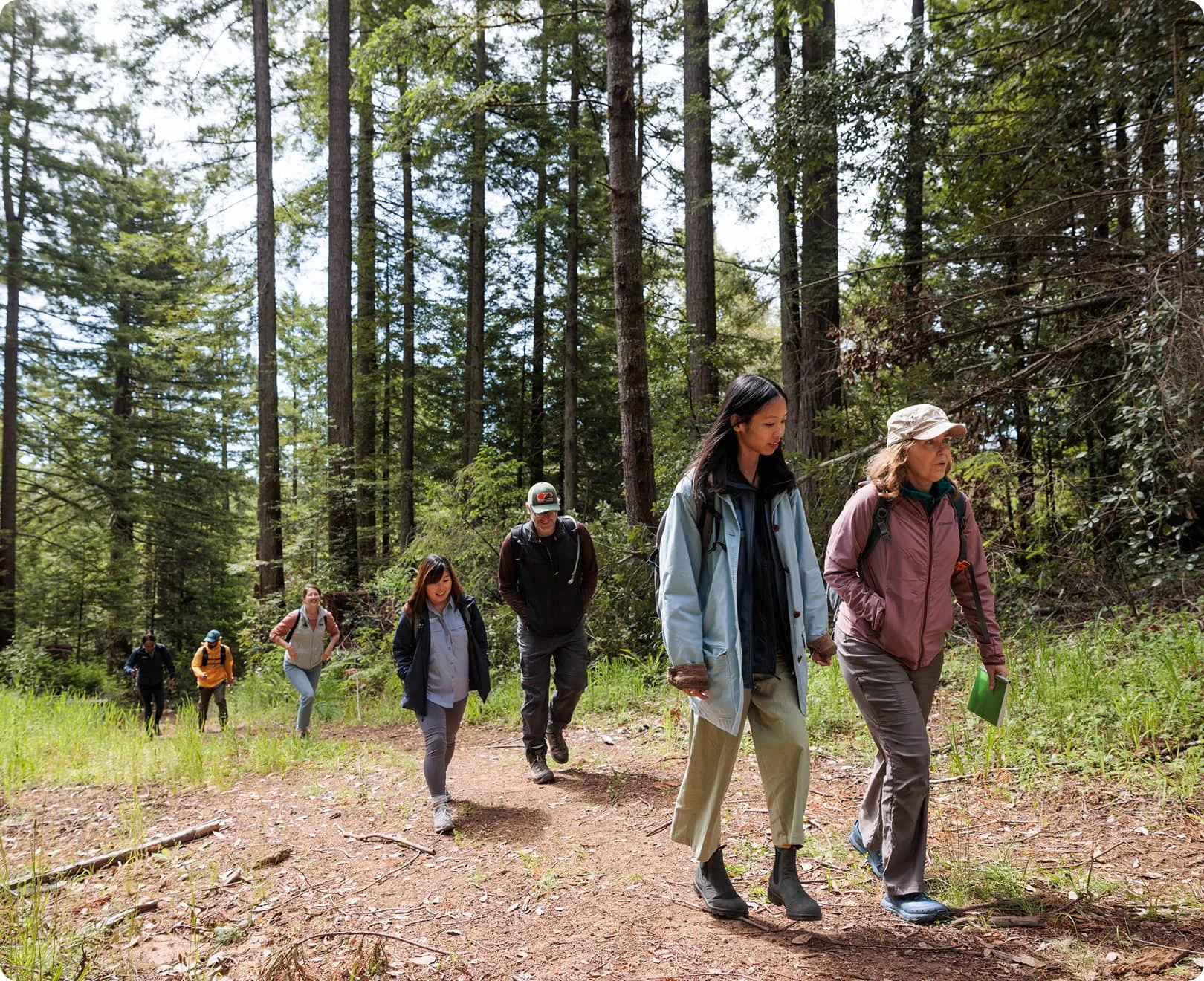 Diverse group of people hiking a sunlit trail through a California redwood forest