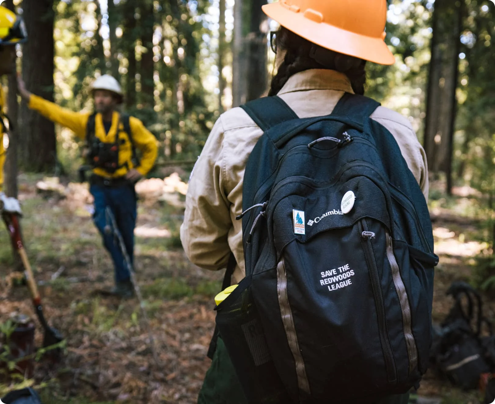 Save the Redwoods League conservation worker with branded backpack in a California redwood forest