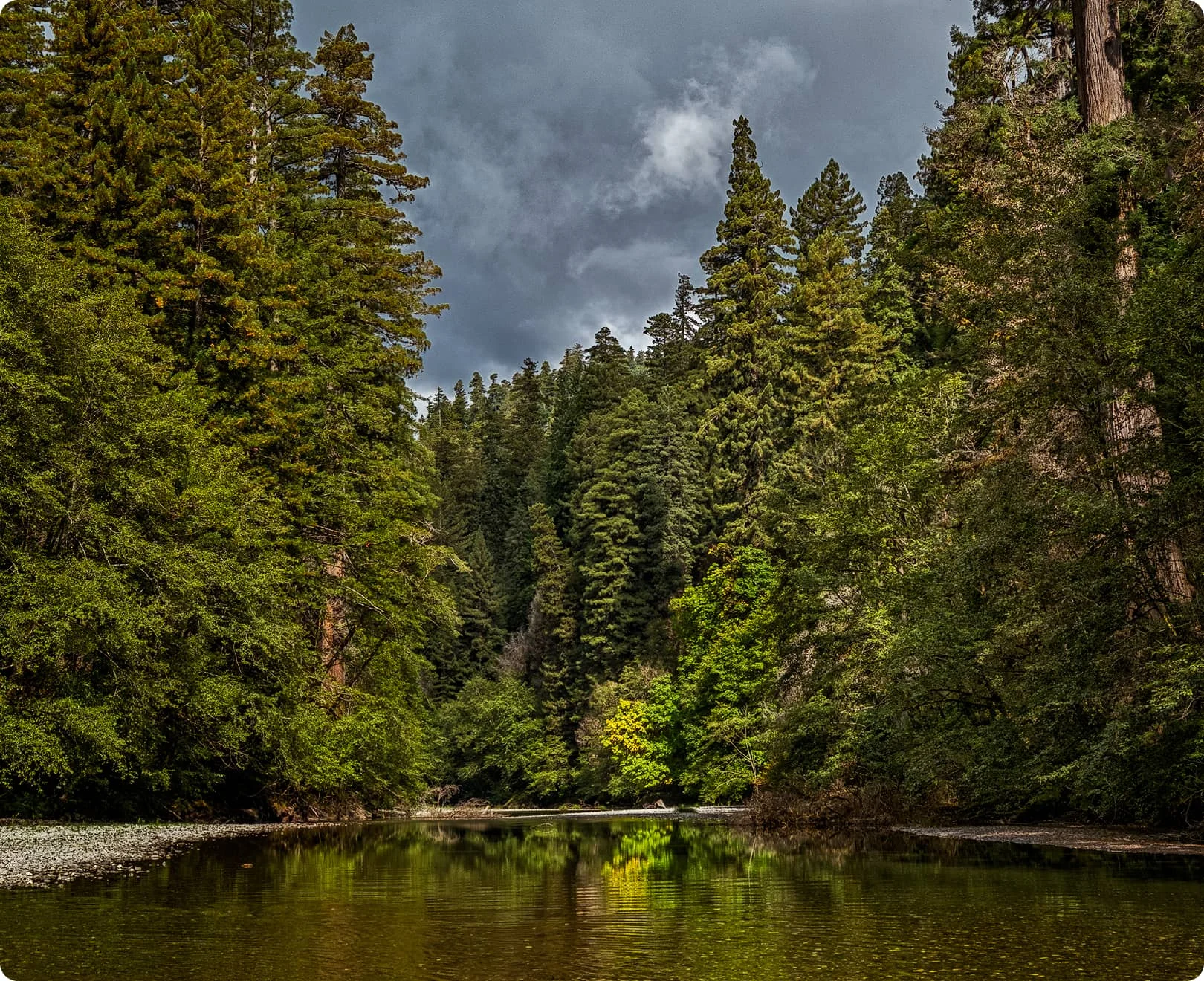 Stormy skies over a calm river reflecting ancient redwood trees in California
