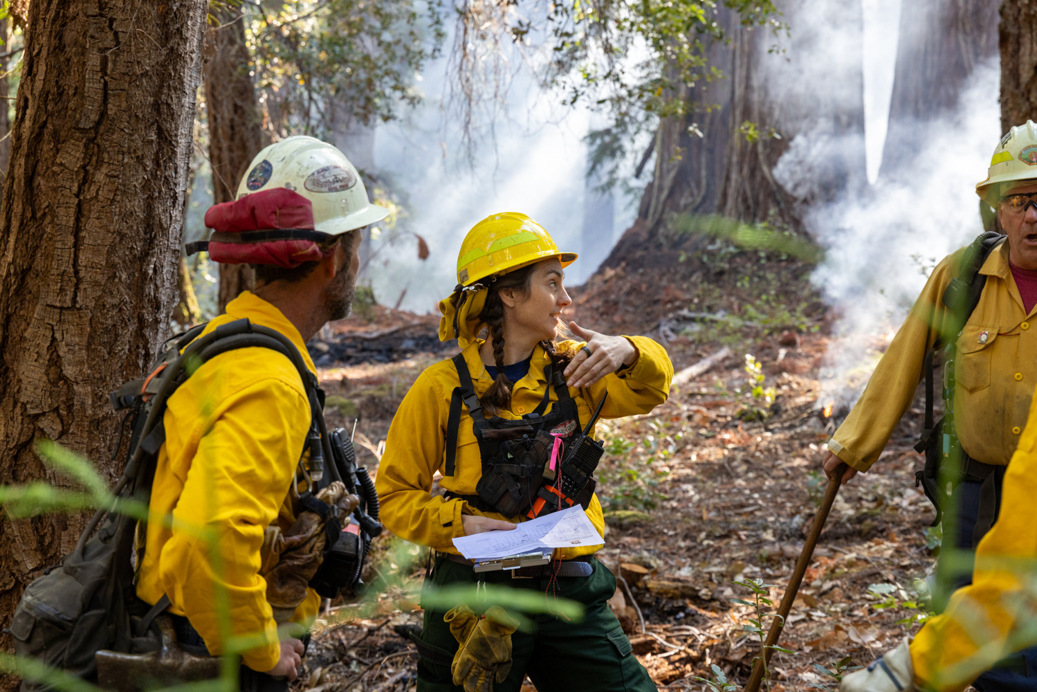 Prescribed fire at Harold Richardson Redwoods Reserve, Fall 2024