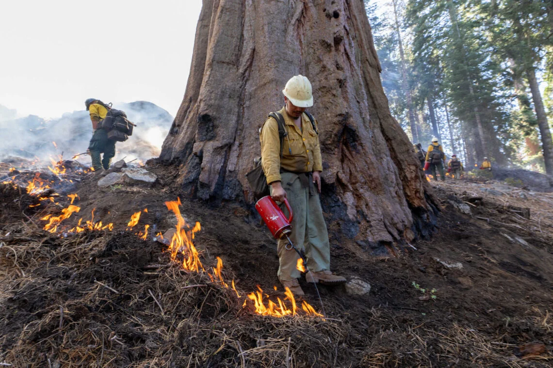 Prescribed burning in Alder Creek