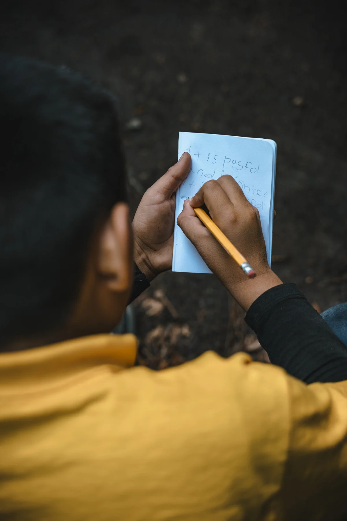 student natural journaling in the redwoods