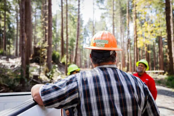 a person with a hard hat that reads "REDWOODS RISING" is photographed from behind, with two others in work gear seen in the background