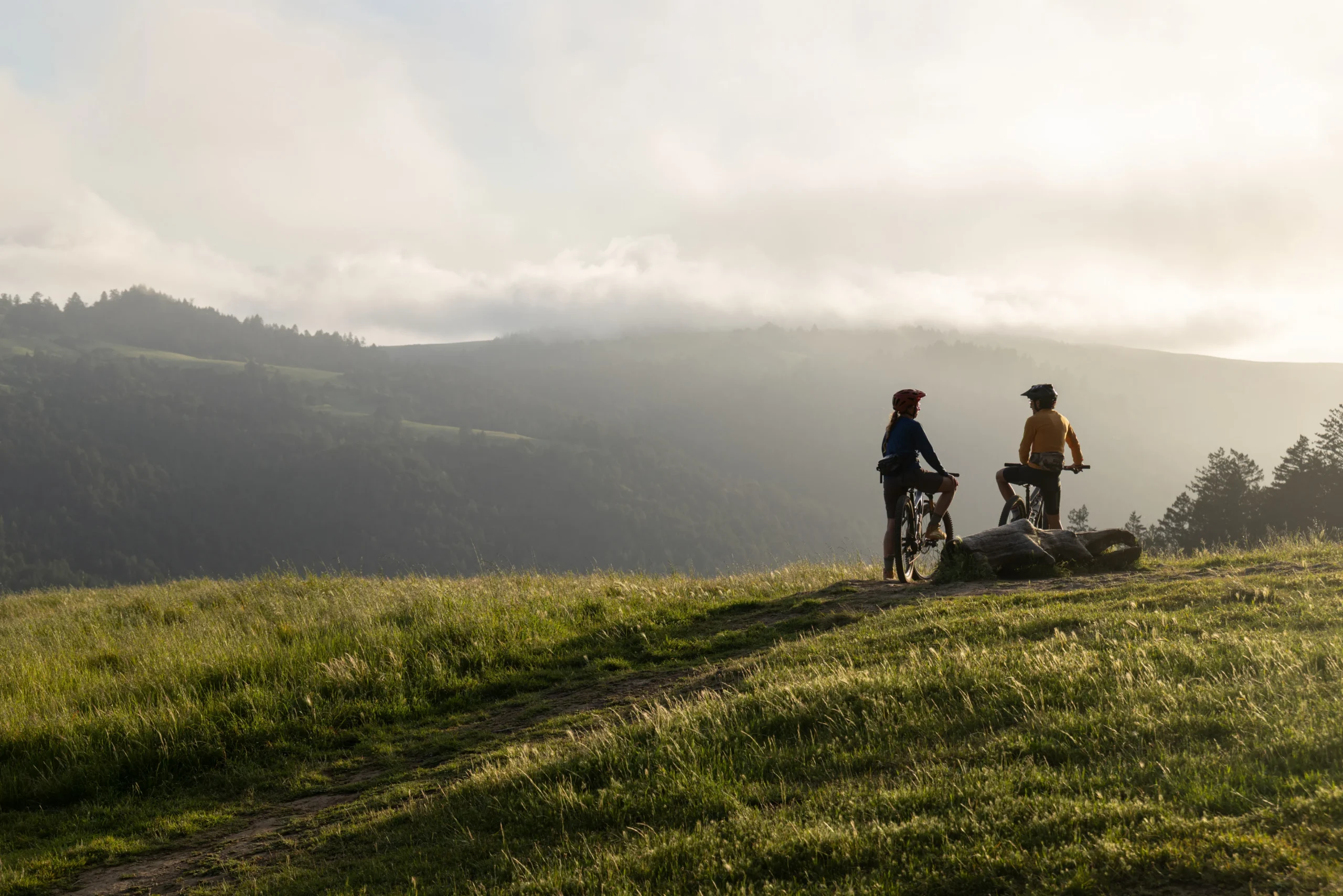 mountain biking at monte rio redwoods