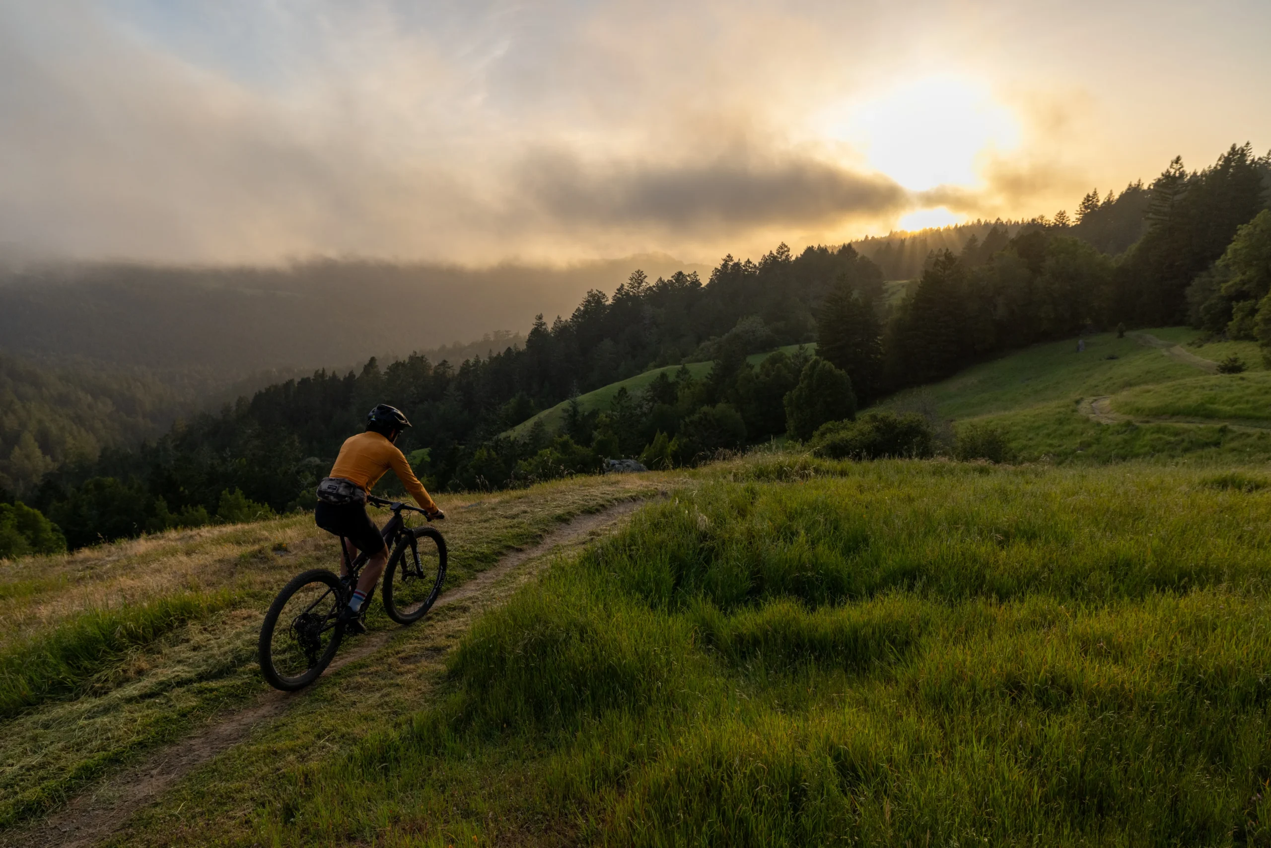 mountain biking, monte rio redwoods