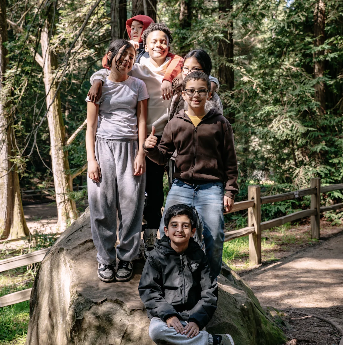 A group of kids pose for a photo standing on a tree stump in a forest.