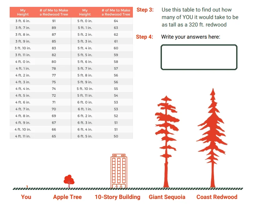 Table and graphics to show how tall a redwood is