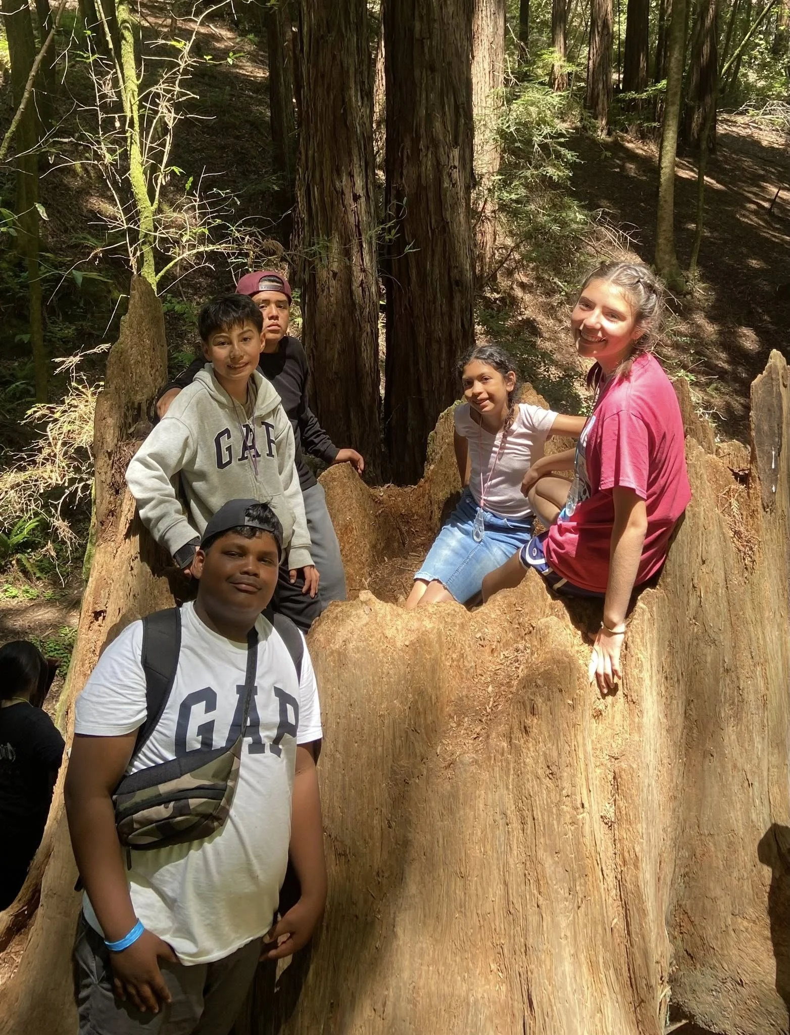 Kids standing and sitting in hollowed out redwood stump
