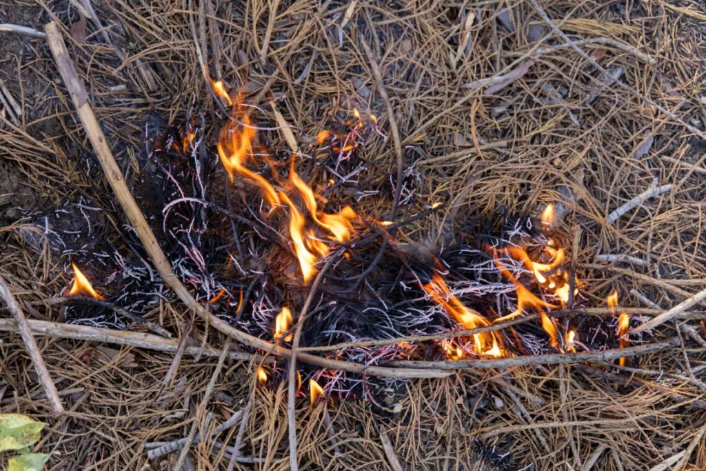 a close-up picture of twigs and woody debris on fire