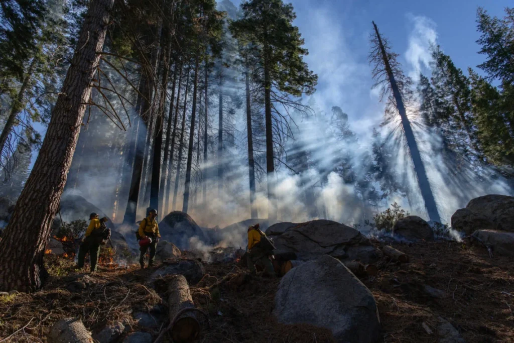 people in uniform walk around large rocks, fallen trunks in a forested area while smoke is visible in the sky