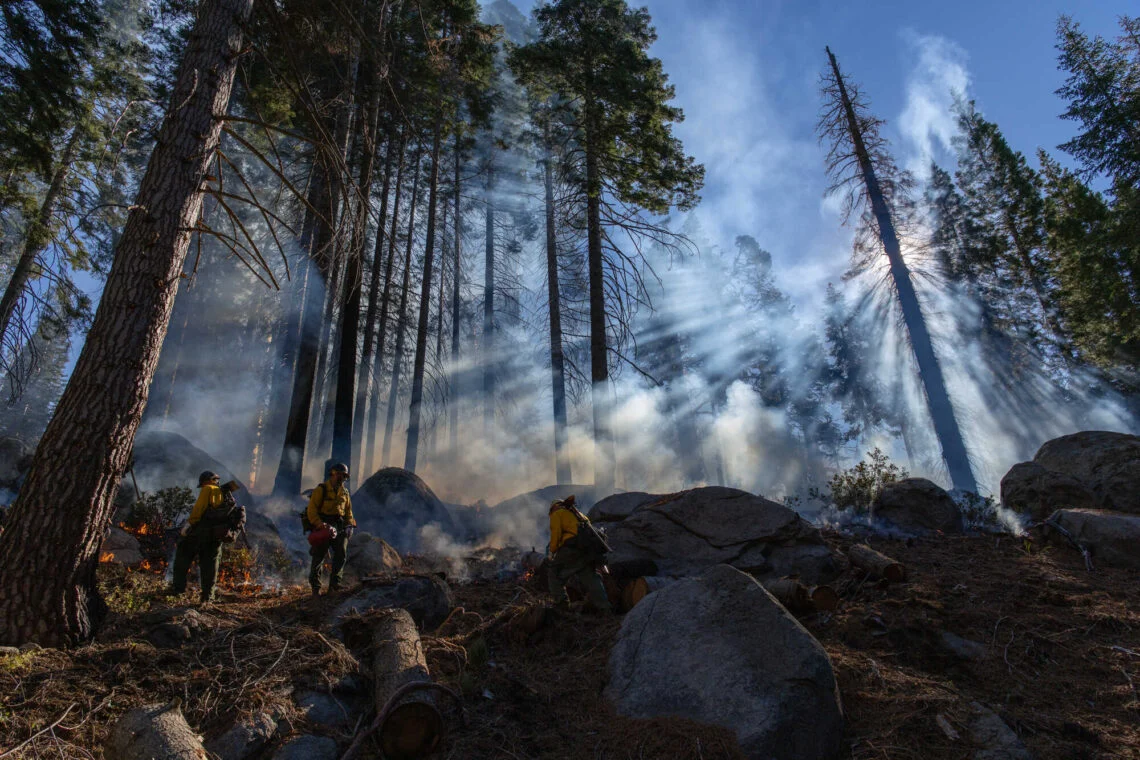 Prescribed burn in a giant sequoia grove casts smoke over clear skies.